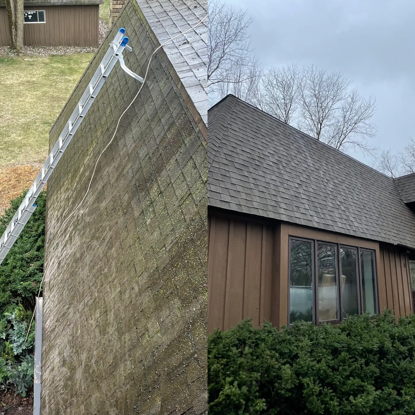 Roof before and after soft wash moss removal in Wheeling IL — green moss and algae cleaned off shingles